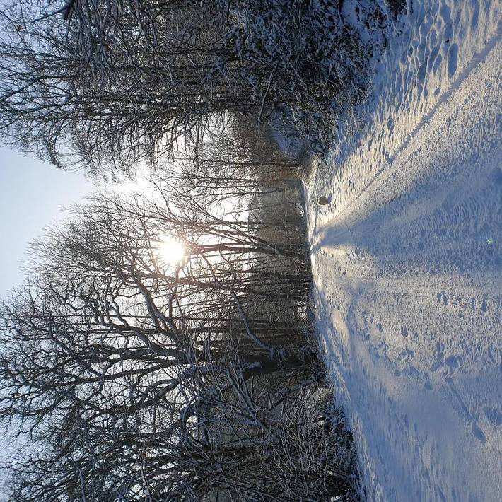 Gîte pour 2 personnes, avec vue ainsi que vue sur le lac et jardin, animaux acceptés dans Parc naturel régional des Ardennes - 4