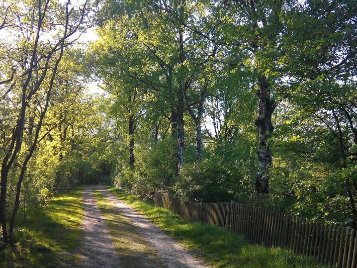 Ferienwohnung für 2 Personen, mit Garten in Worpswede - 4