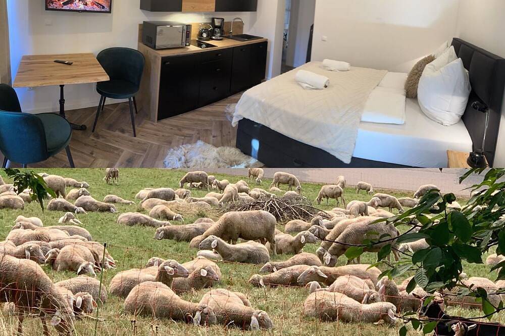 Geheel appartement, Bergoase-Apart am Feldberg - in Feldberg (Schwarzwald), Feldberg