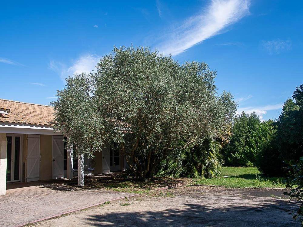 Double Room in Ordonnac, Parc naturel régional du Médoc