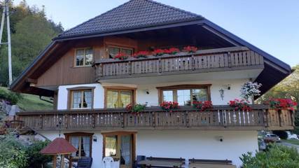 Ferienhaus für 5 Personen, mit Terrasse in Menzenschwand