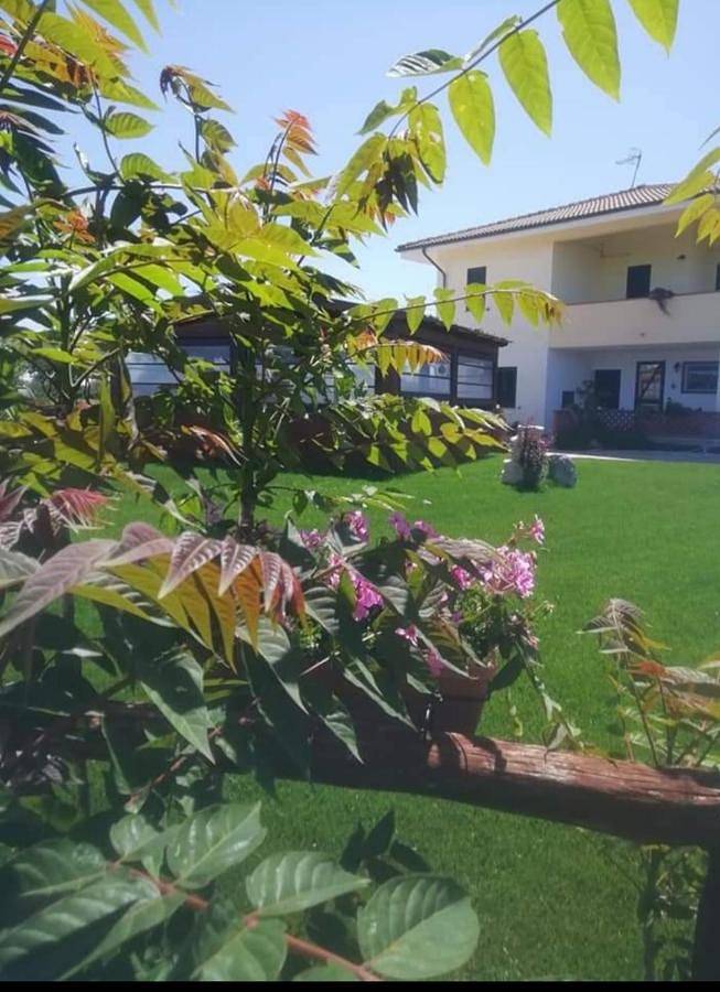 Chambre d’hôte pour 2 personnes, avec jardin et vue, animaux acceptés à Porto Torres - 2