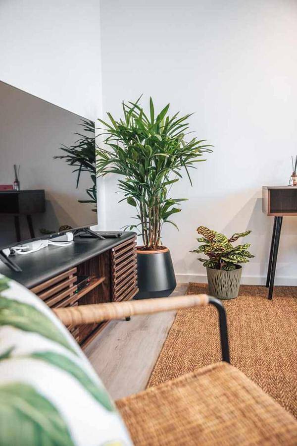 Gîte pour 4 personnes à Leiria - 2