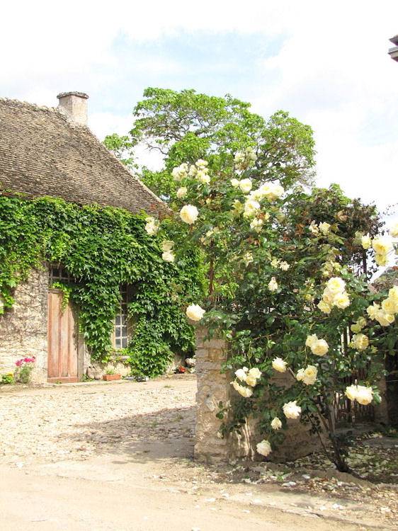 Le Clos des Roseaux - Chambre Amande in Chorey-les-Beaune, Région de Beaune