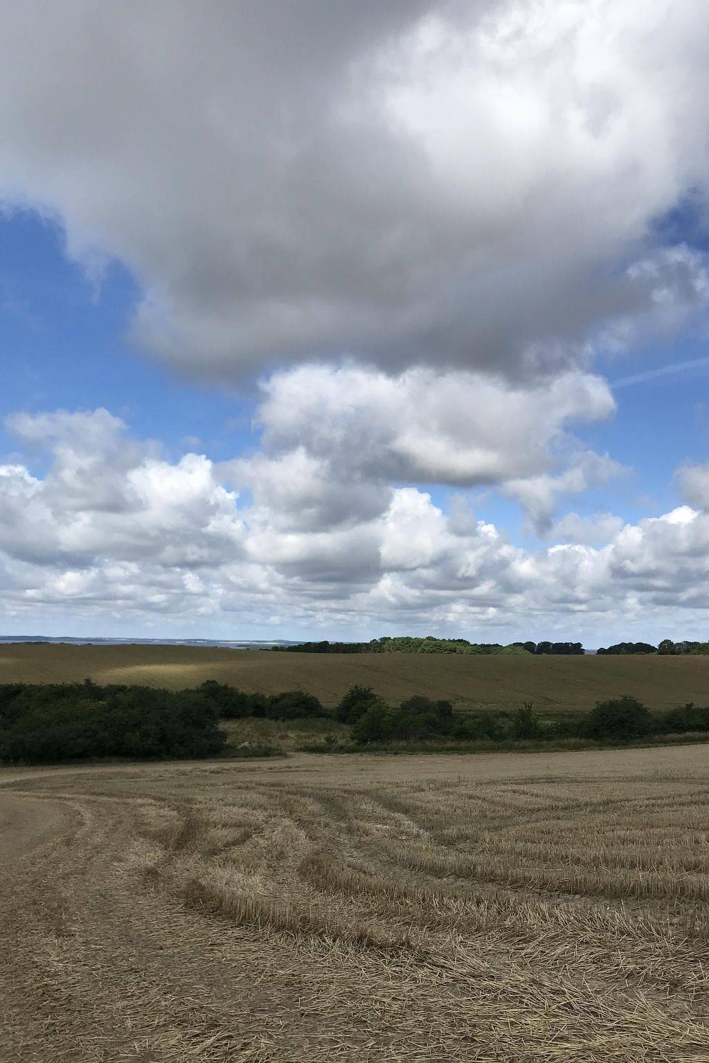 Apartamento entero, Leuchtturm in Neddesitz, Sagard