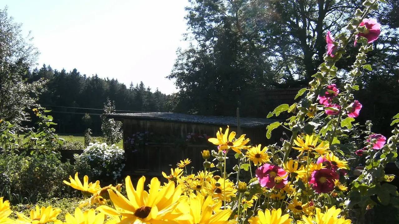 Bauernhof für 5 Personen (82 m²) in Sankt Georgen im Schwarzwald in St. Georgen, Mittlerer Schwarzwald
