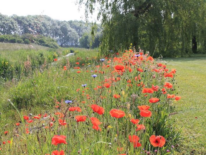 Gemütliche Ferienwohnug in Diemen, Holländische Küste