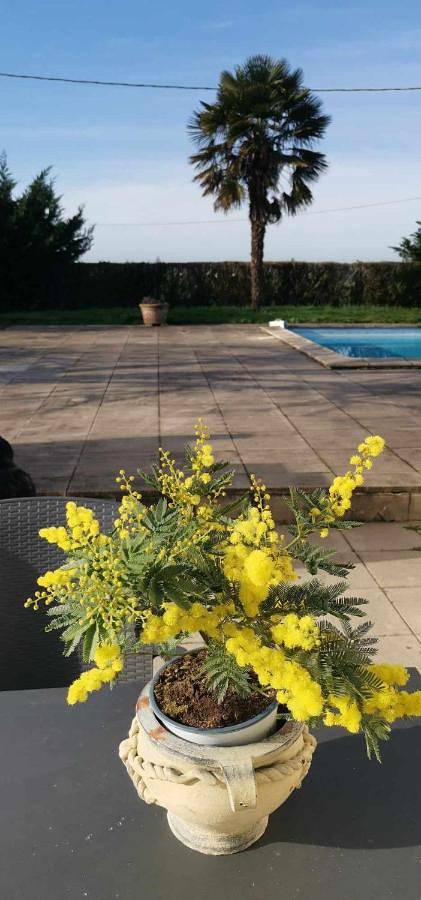 Chambres d'hôtes des Princes de Bel Air in Loudun, Vienne (France)