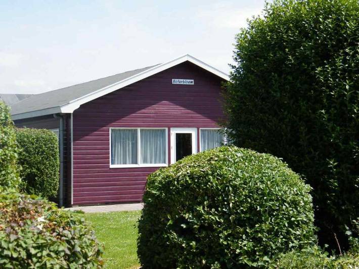 Ferienhaus für 70 Personen, mit Terrasse und Garten in Ellemeet