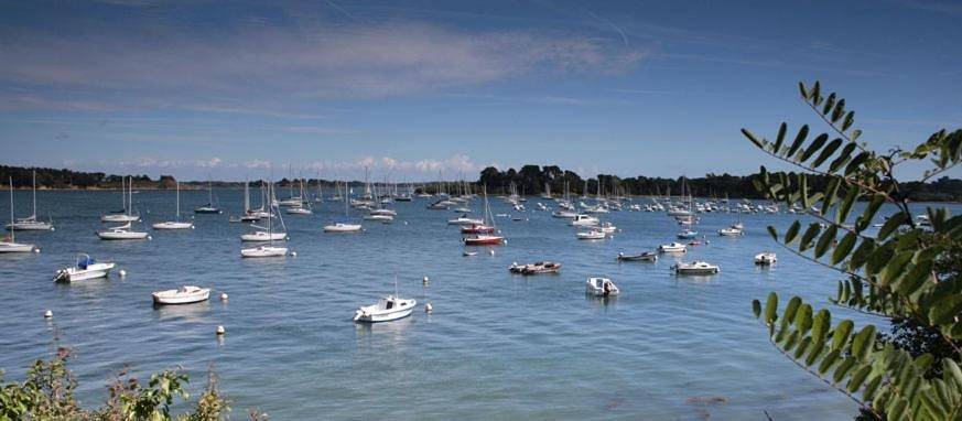 Chambre d’hôte pour 2 personnes, avec jardin et vue à Vannes - 2