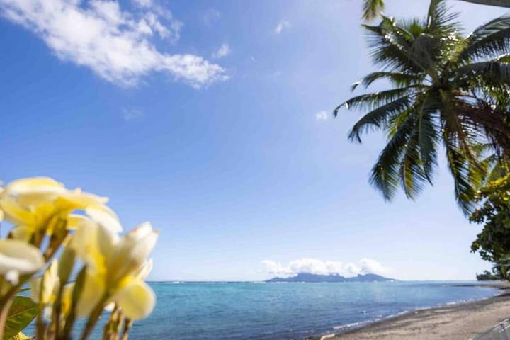 Villa pour 8 personnes, avec jardin et piscine dans Tahiti - 3