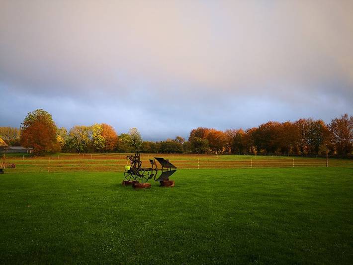 Chambre d’hôte pour 2 personnes, avec jacuzzi ainsi que jardin et sauna, animaux acceptés dans Parc naturel régional de l'Avesnois - 4