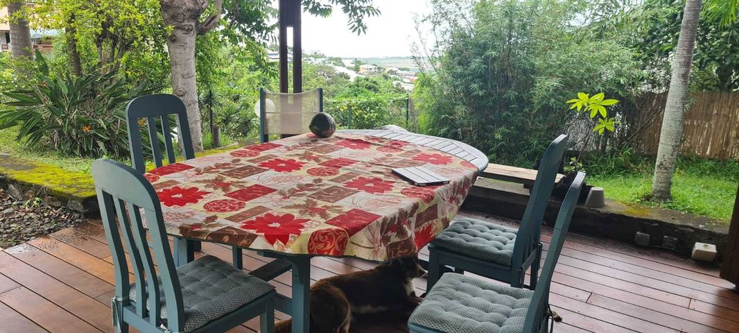 Location de vacances pour 6 personnes, avec piscine et jardin dans Bois de Nèfles - 4