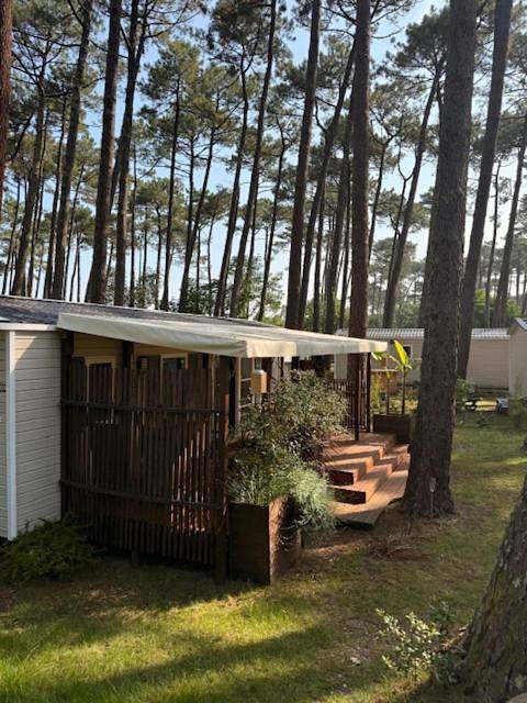 Camping pour 4 personnes à Seignosse - 4