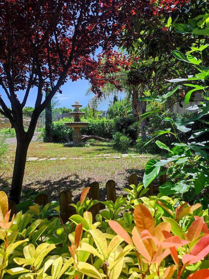 Les moreres a space for tranquility in Torrent, Provincia de Valencia