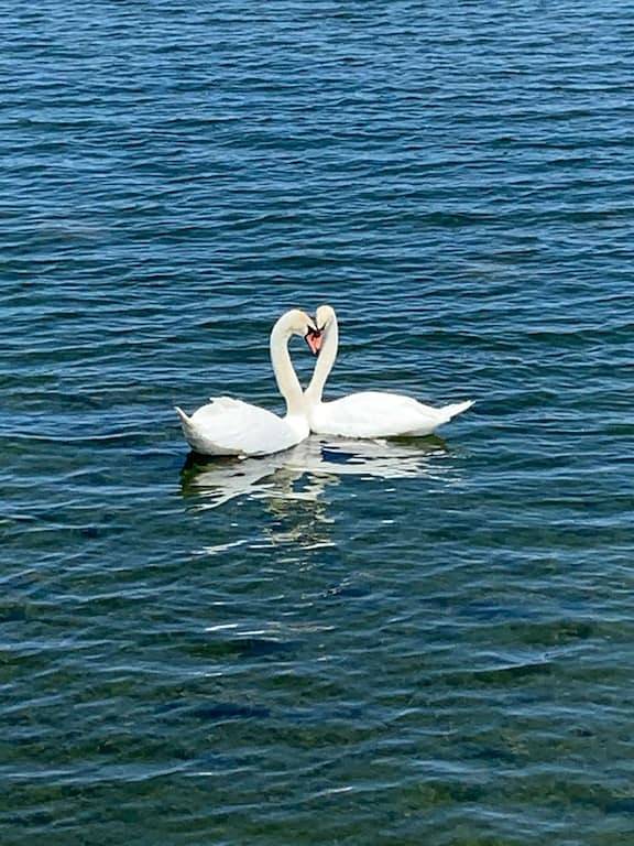 Vintage Lake Ontario Hütte im Jahre 1902 gebaut. in Ontariosee