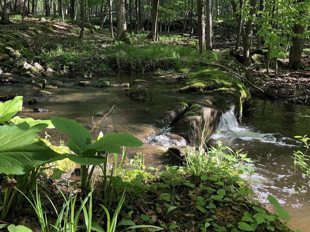 Völlig abgeschiedene Jurte, umgeben von Wasserfällen, Bächen, Klippen und Wäldern in Ulster County
