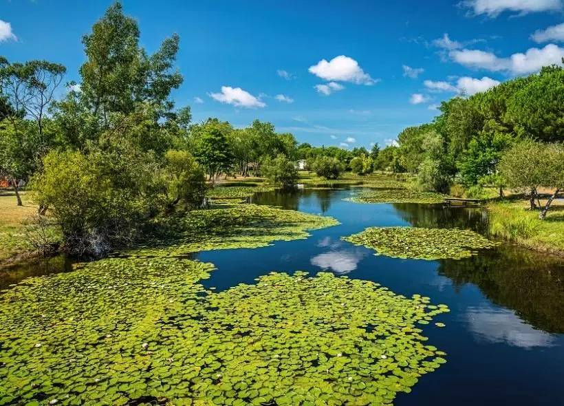 Mobil Home 3 Pièces 4/6 Personnes + Tv in Hourtin, Parc naturel régional du Médoc