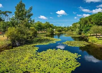 Camping voor 6 Personen in Hourtin, Lesparre-Médoc en omgeving, Afbeelding 1