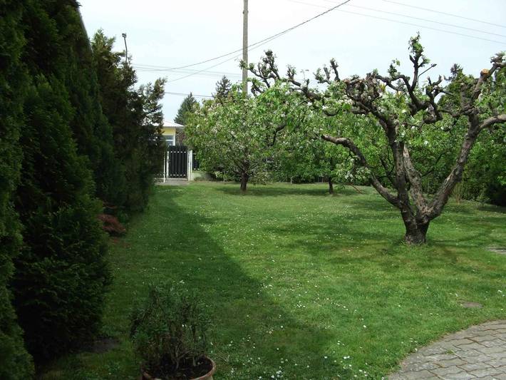 Ferienhaus 250 m vom Strand mit Internet in Balatonlelle, Plattensee Südufer
