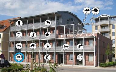 Ferienwohnung für 2 Personen in Waren (Müritz), Müritz, Bild 4