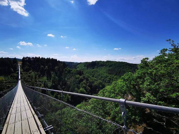 Gîte pour 5 personnes, avec jardin, animaux acceptés dans Morsdorf - 3