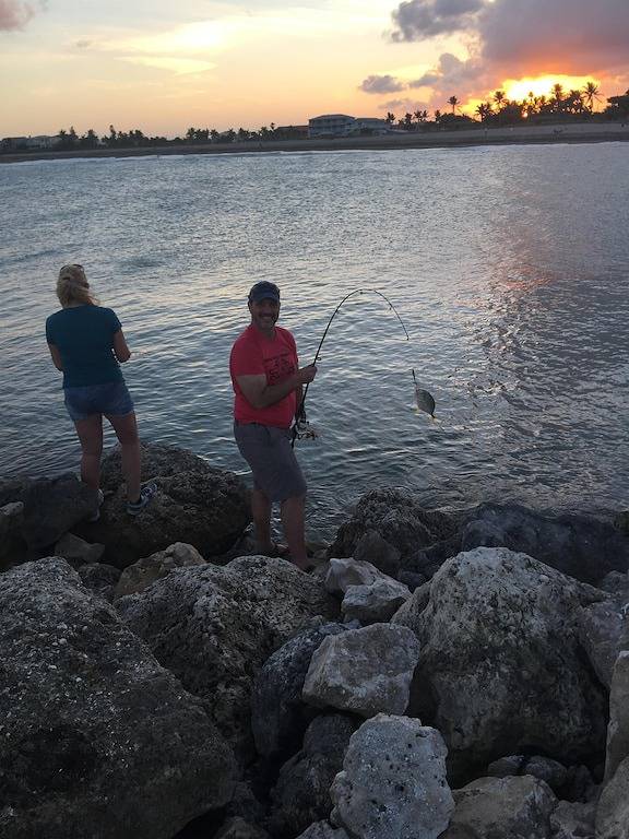 Ferienhaus für 5 Personen, mit Garten, mit Haustier - 1