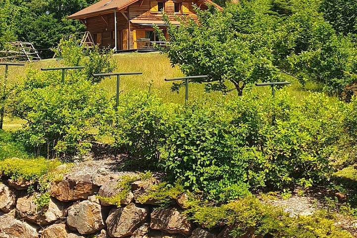 Chalet pour 12 personnes, avec terrasse et jardin - 1