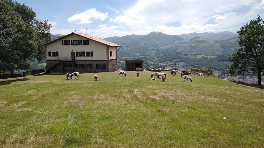 Casa rural para 2 personas, con balcón y jardín, Familias con niños en Navarra - 4