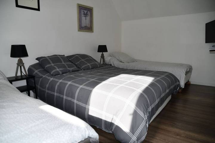 Location de vacances pour 8 personnes, avec piscine ainsi que jardin et sauna, animaux acceptés à Bordères-Louron - 4