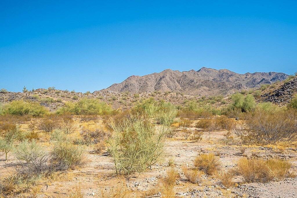 Relaxing & Upgraded Vacation Home - Pet Friendly in Gilbert, Maricopa County