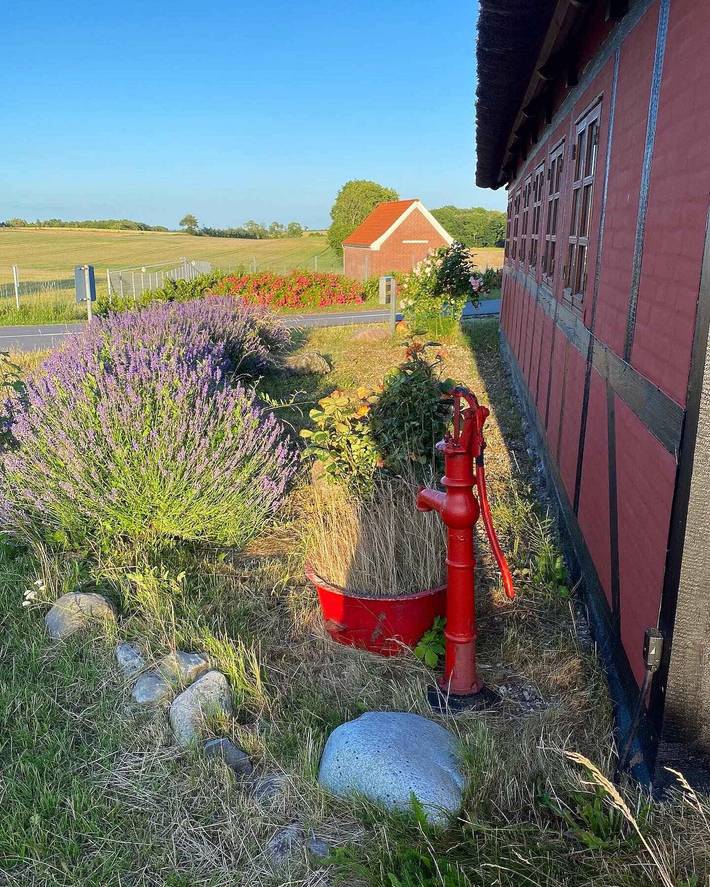 Ferienhaus für 7 Personen, mit Garten in Tårup - 3