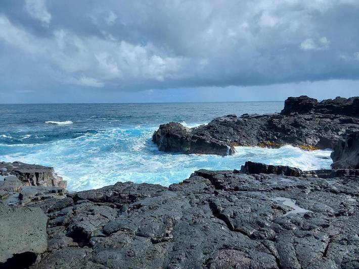 Maison d’hôte pour 3 personnes, avec vue et jardin dans Hawai - 4