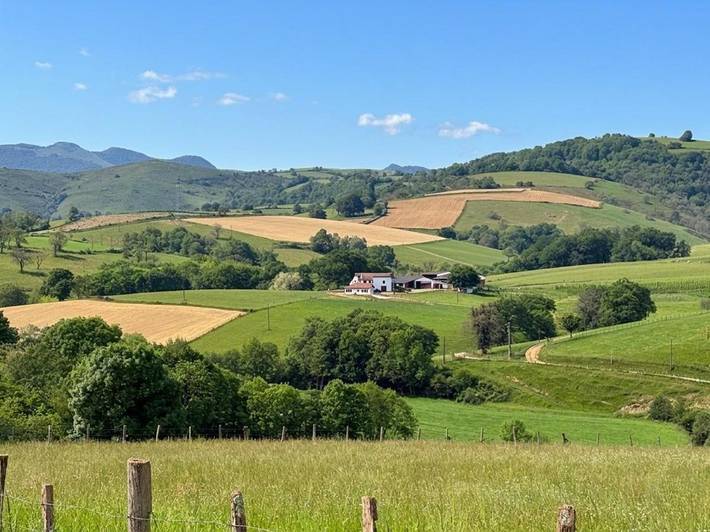 Location de vacances pour 6 personnes, avec jardin, animaux acceptés à Ordiarp - 3
