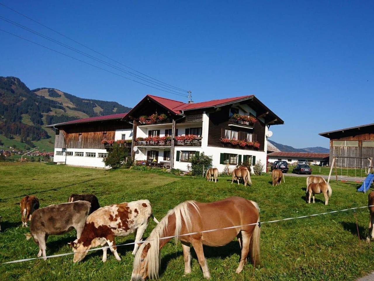 Ganze Ferienwohnung, Haflinger Hof - Ferienwohnung in Obermaiselstein, Bayerisch Schwaben