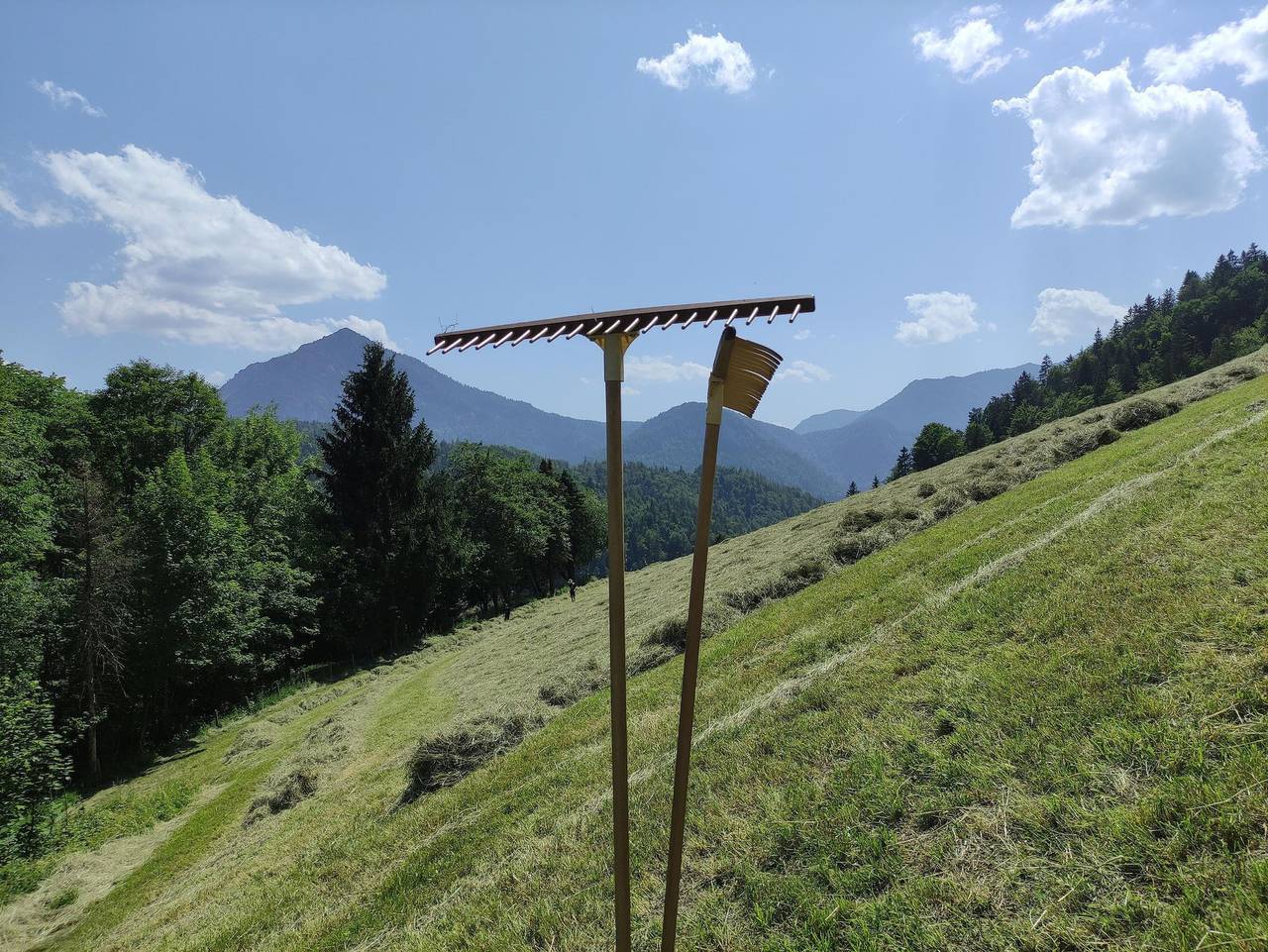 Ganze Ferienwohnung, Eckarthof - Ferienwohnung "Blick Sonntagshorn" in Schneizlreuth, Bayerische Alpen