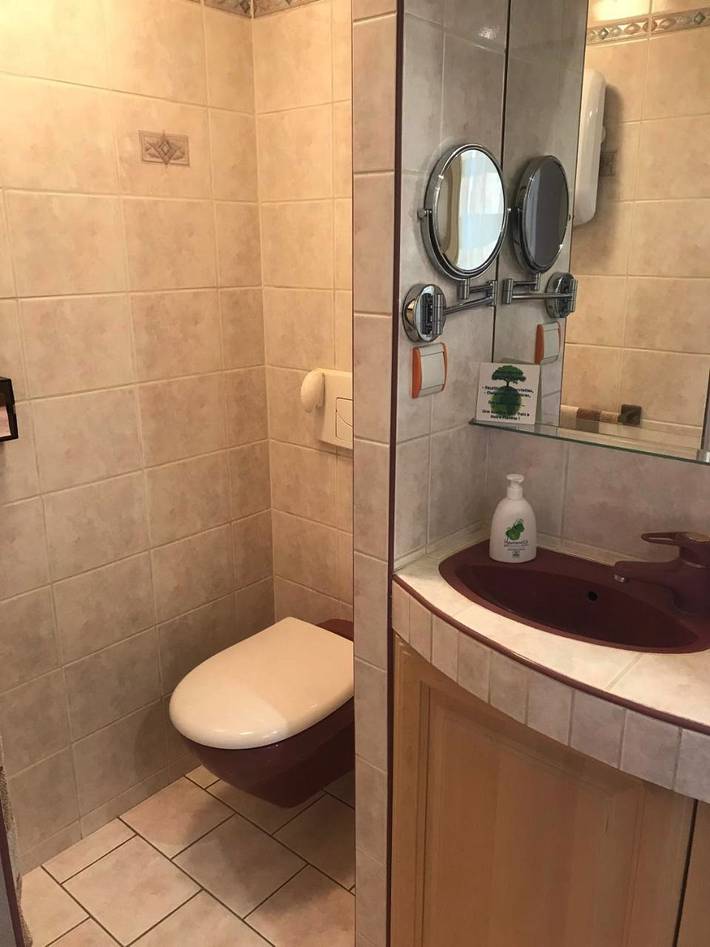 Location de vacances pour 3 personnes, avec piscine ainsi que vue et jardin à Binson-et-Orquigny - 4