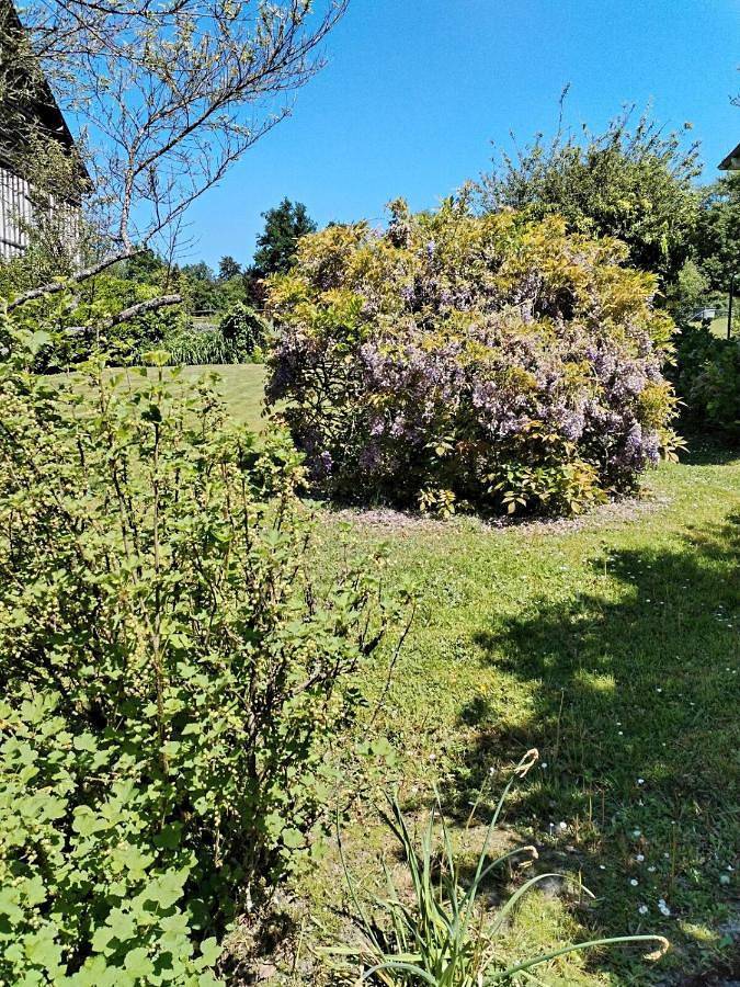 Location de vacances pour 6 personnes, avec balcon, animaux acceptés à Bonnebosq - 3