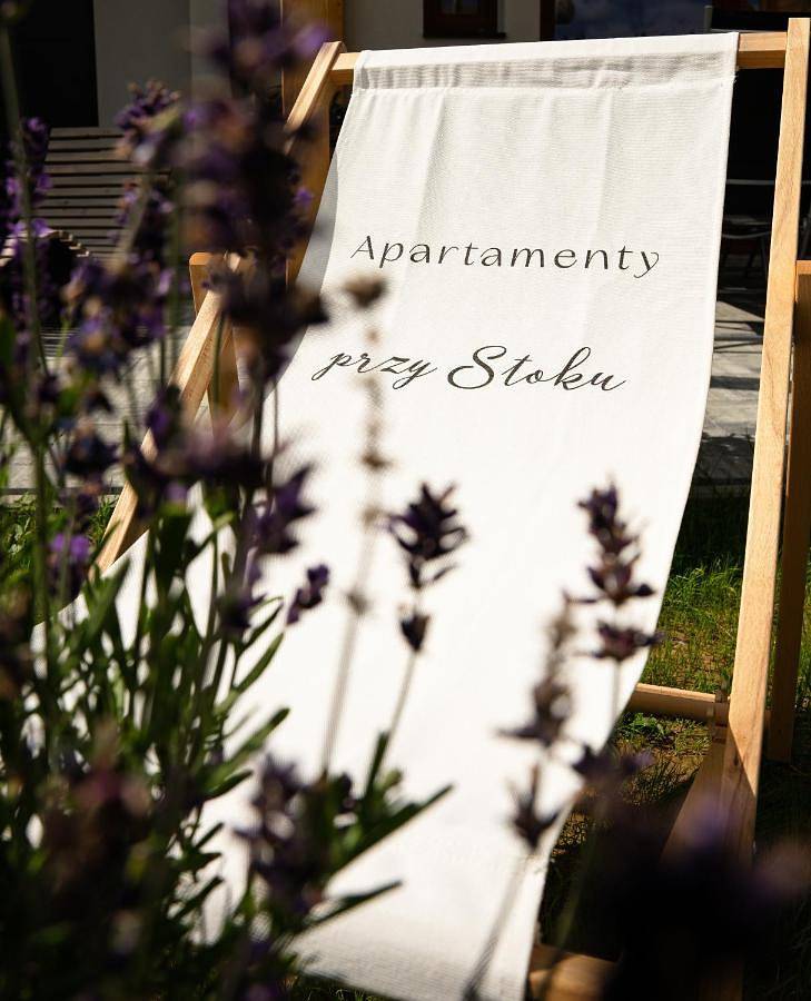 Cały apartament, Apartamenty przy stoku in Tylicz, Karpaty (Polska)