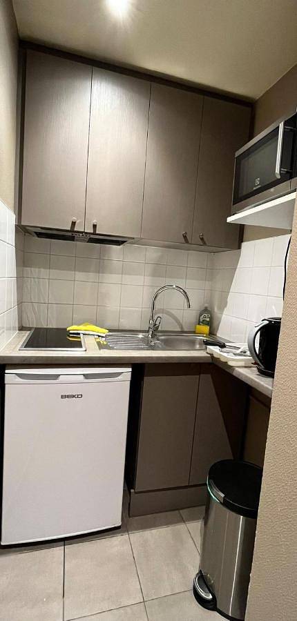 Location de vacances pour 4 personnes, avec jardin à Issy-les-Moulineaux - 3