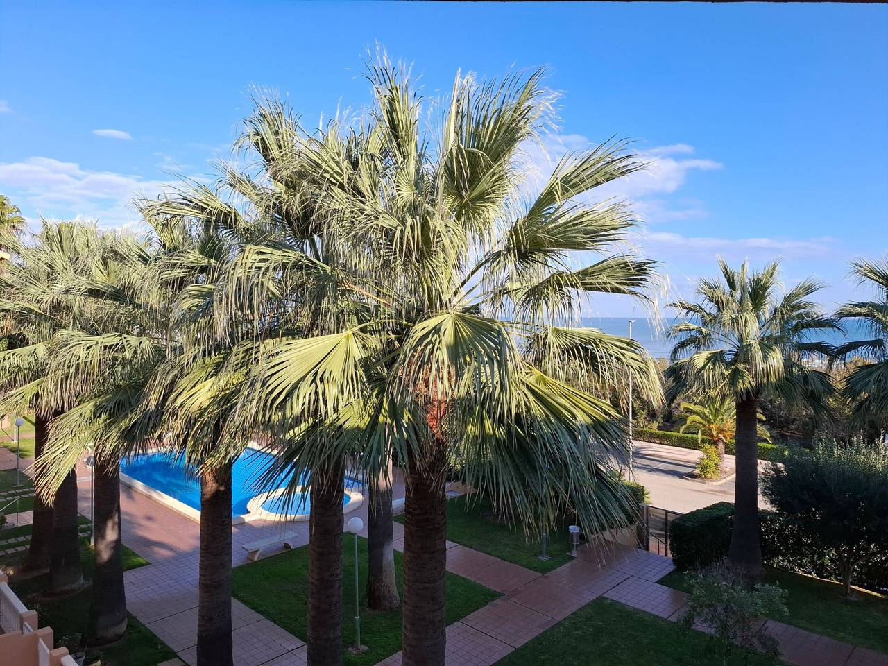Ganze Wohnung, Wohnung Stella, 1. Reihe Meerblick und Palmen in Piles, Costa de Valencia
