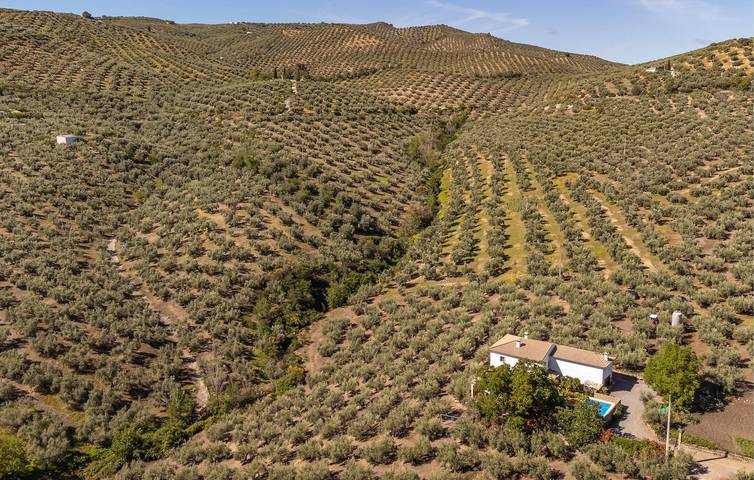 Moderno apartamento con piscina, barbacoa e Internet in Castillo de Locubín, Sierras Subbéticas