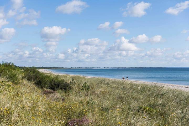 Ferienhaus für 4 Personen, mit Terrasse, mit Haustier in Lolland-Falster - 3