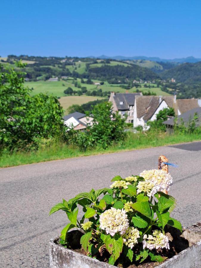 Two-Bedroom House in Saint-Cernin, Région d'Aurillac
