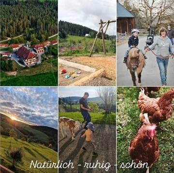 Gîte pour 2 personnes, avec terrasse et balcon/terrasse, adapté aux familles à Schramberg