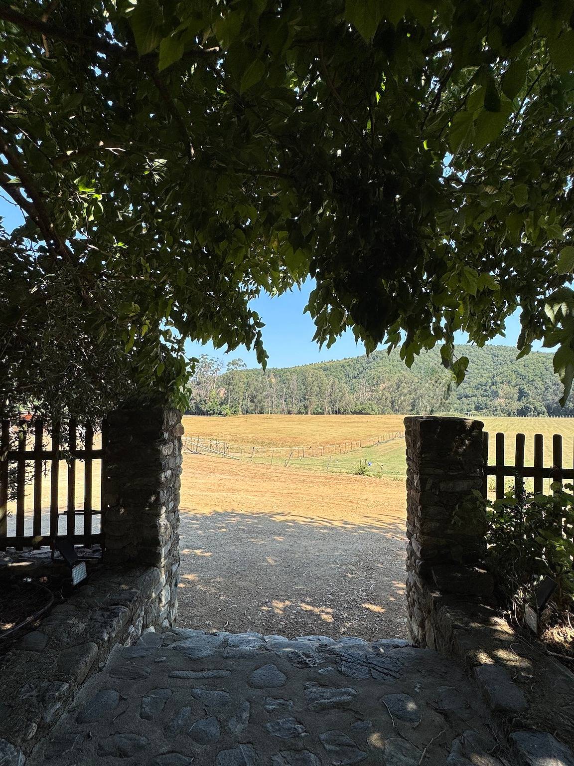 Monolocale intero, Monolocale moderno con vista montagna, Wi-Fi e aria condizionata in autentica fattoria corsa in Antisanti, Corte e dintorni