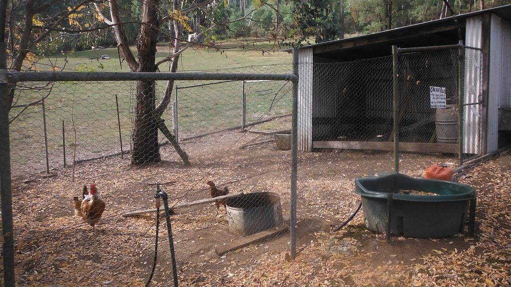Riverbend Homestead Horse und Farmstay in Freeburgh, Alpine Shire