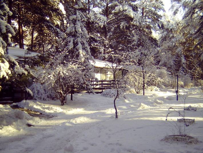 Ferienhaus mit 1 Schlafzimmer in Bad Schmiedeberg, Dübener Heide