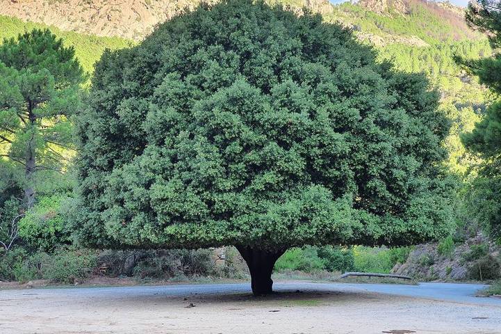 Gîte pour 4 personnes dans Allouis