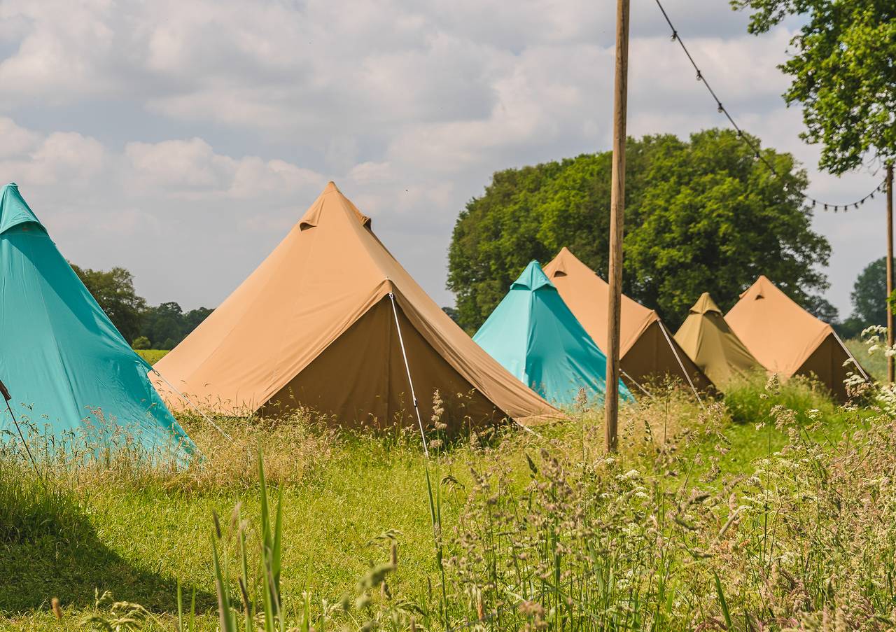 Vakantiepark Mölke — Pop-up glamping: Buurvrouws' Belltentje | 2-4 pers. in Sallandse Heuvelrug
